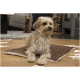 Ein flauschiger Hund sitzt auf einer braunen Haustiermatte in einem gemütlichen Wohnzimmer, mit einem kleineren Hund im Hintergrund.