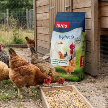 Hühner fressen Futter auf Gras neben einem PANTO Geflügelkörnermischung Geflügelfuttersack mit Bildern von Vögeln.