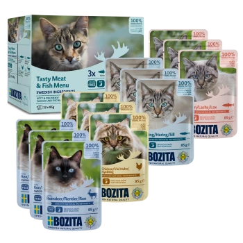 Ein 12er-Pack Bozita Katzenfutterbeutel (je 85 g) in den Geschmacksrichtungen Lachs, Huhn und Rentier, mit 100% tierischem Protein und ohne Getreide.