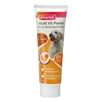 Multi Vitamin Paste Hund, 250g