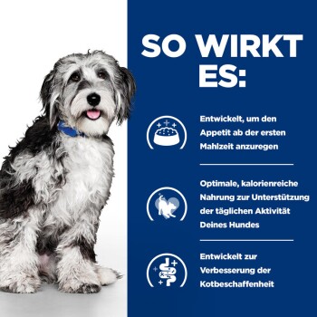 Ein flauschiger schwarz-weißer Hund auf einem blauen Hintergrund hebt die Vorteile von Tierfutter hervor: Appetitanregung, optimale Ernährung und bessere Stuhlqualität.