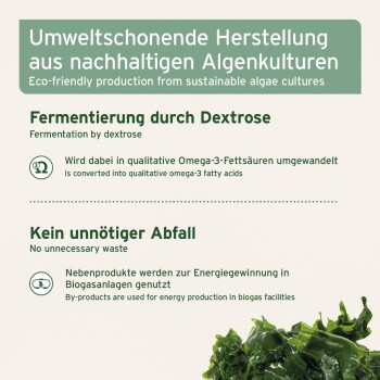 Infografik: Umweltschonende Herstellung; Fermentierung durch Dextrose; Kein unnötiger Abfall; grüne Meeresalge.