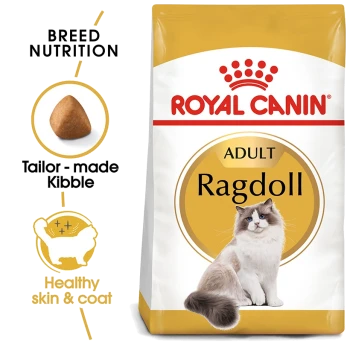 Royal Canin Adult Ragdoll cat food bag featuring a Ragdoll cat image, with text highlighting breed nutrition and benefits for healthy skin and coat.