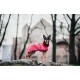 Ein Hund, der einen leuchtend pinken Regenmantel trägt, steht auf einem Felsen, mit Bäumen und einem verschwommenen Gebäude im Hintergrund.