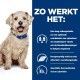 Een fluffy hond met een blauwe halsband zit tegen een blauwe achtergrond met tekst over laag suiker-, vezel-, eiwit-, vet- en caloriegehalte.