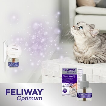 Feliway (CEVA Tiergesundheit GmbH) La recharge FELIWAY Friends réduit le  comportement de conflit 48 ml