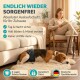 Ein Mann umarmt einen Golden Retriever in einer blauen Windel auf dem Boden eines modernen Wohnzimmers. Der Text darüber sagt: "Große Bewegungsfreiheit Ganz ohne Auslaufen."
