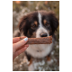 Eine Person hält einen Hundekeks vor einem neugierigen Australian Shepherd, mit einem verschwommenen natürlichen Hintergrund.
