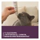 Hand bietet Senior Paste ab 7 Jahren einer grauen Katze an; Banner: Mit GLUCOSAMIN, L-TRYPTOPHAN & L-CARNITIN, WEISSFISCHPROTEINKONZENTRAT