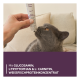 Hand bietet Senior Paste ab 7 Jahren einer grauen Katze an; Banner: Mit GLUCOSAMIN, L-TRYPTOPHAN & L-CARNITIN, WEISSFISCHPROTEINKONZENTRAT