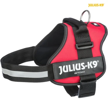 Julius K-9 Harness Red Julius-K9 dog harness with black straps, featuring a reflective strip and a metal D-ring for leash attachment.