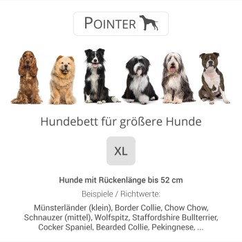 Hundebett für größere Hunde, XL, geeignet für Hunde mit Rückenlängen bis 52 cm, zeigt verschiedene Hunderassen.