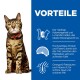 Eine Bengal-Katze mit einem roten Halsband sitzt vor einem weißen Hintergrund, neben blauen Texten über Gesundheitsvorteile und Ernährung.