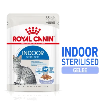 Royal Canin Indoor Sterilised Katzenfutterbeutel mit einer grauen getigerten Katze, beschriftet mit "85 g" und "Stücke in Gelee", mit hervorgehobenen Nährstoffvorteilen.