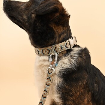 Eine Nahaufnahme des Halses eines Hundes, der ein gemustertes Halsband und eine Leine trägt, das ein stilvolles Design mit geometrischen Formen auf hellem Hintergrund zeigt.