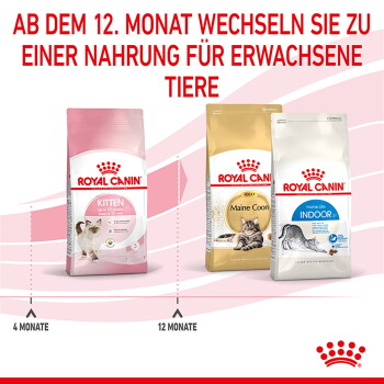 Royal Canin-Futterbeutel (Kitten, Maine Coon, Indoor); oberer deutscher Text 'AB DEM 12. MONAT...' und Zeitachse '4 Monate / 12 Monate'.