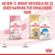 Royal Canin-Futterbeutel (Kitten, Maine Coon, Indoor); oberer deutscher Text 'AB DEM 12. MONAT...' und Zeitachse '4 Monate / 12 Monate'.