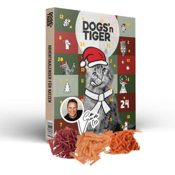 Adventskalender für Katzen mit dem Titel "DOGS'n TIGER", mit einer festlichen Katze, die einen Weihnachtsmannhut trägt, mit nummerierten Türen und bunten Dekorationen.