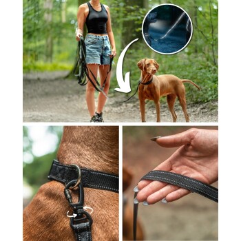 Eine Frau in einem schwarzen Tanktop und Jeansshorts führt einen braunen Hund an der Leine in einem bewaldeten Gebiet. Nahaufnahme der Leine und ihrer Hand.