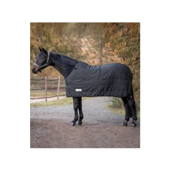 Ein schwarzes Pferd, das eine gepolsterte Decke trägt, steht auf einem Schotterweg, umgeben von Bäumen, und zeigt einen stilvollen Reiterlook.