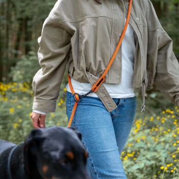 Person in beiger Jacke und Jeans geht mit einem schwarzen Hund an einer orangefarbenen freihändigen Leine in einem Wald mit gelben Blumen spazieren.