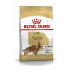Royal Canin Adult Cocker Hundefutterbeutel, mit einem goldenen Design, einem Bild eines Cocker Spaniels und Text, der die rassespezifische Ernährung hervorhebt.