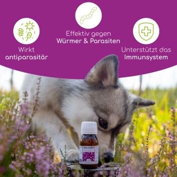 Nahaufnahme einer "WormEX" Flasche auf einem Baumstamm, mit einem Hund, der in einem Blumenfeld in der Nähe schnüffelt. Der Text darüber hebt die antiparasitären Wirkungen hervor.