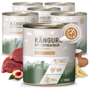 REAVET+ Dosenfutter mit Aufschrift 'KÄNGURU MIT TOPINAMBUR', 800 g, 'VOLLWERTIGE FÜTTERUNG'; rohes Kängurufleisch, Pflaume und Topinambur