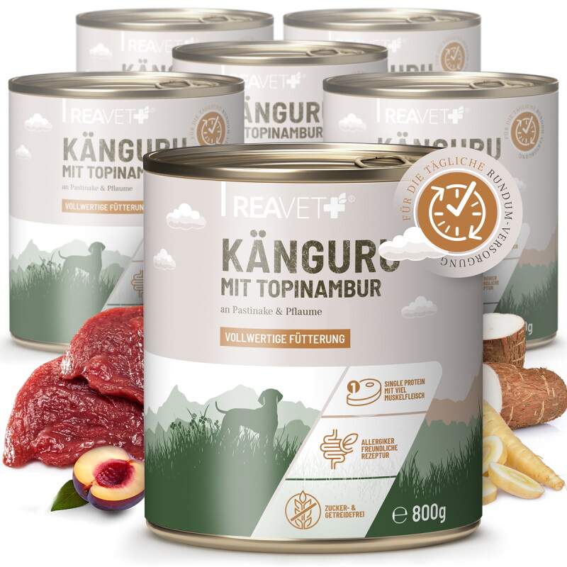 REAVET Hundenassfutter – Känguru mit Topinambur an Pastinake & Pflaume | 6 x 800g