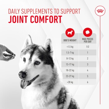 A hand presents a supplement to a smiling Siberian Husky, with text about joint comfort and a dosage chart based on weight.
