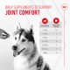 A hand presents a supplement to a smiling Siberian Husky, with text about joint comfort and a dosage chart based on weight.