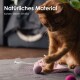 Eine verspielte orange Katze interagiert mit bunten Filzkugeln auf einer weichen grauen Matte, mit dem Text 'Natürliches Material' und 'Katzen lieben Wollfilz.'