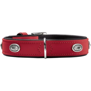 Rotes Lederhalsband mit schwarzer Polsterung, silbernen Ziernieten und D-Ring, fotografiert vor weißem Hintergrund.