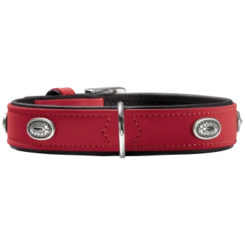 Rotes Lederhalsband mit schwarzer Polsterung, silbernen Ziernieten und D-Ring, fotografiert vor weißem Hintergrund.
