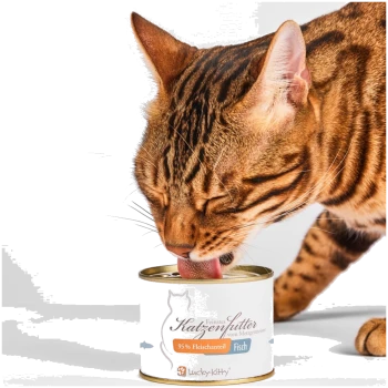 Braun-getigerte Katze leckt Dosenfutter; Etikett der Dose lautet 'Katzenfutter 95% Fleischanteil Fisch' (Lucky-Kitty).