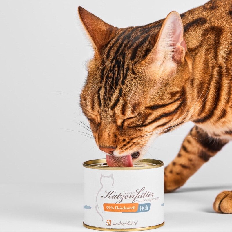 Lucky-Kitty Katzenfutter Fisch 4x200 g