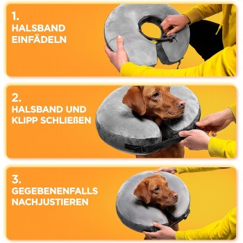 Anleitung zum Anlegen eines Hundehalsbands und eines Erholungsdonuts an einem braunen Hund, mit Schritten auf Deutsch.