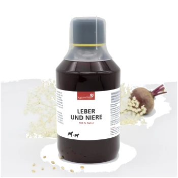 Dunkelbraune Flasche des natürlichen Ergänzungsmittels „Leber und Niere“ für Hunde und Katzen mit weißem Etikett und schwarzem Verschluss.