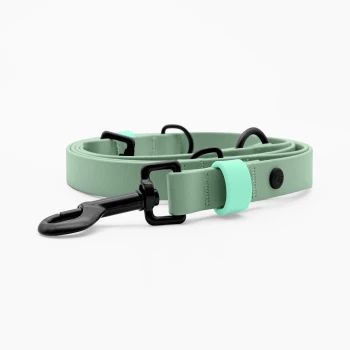Eine mintgrüne Hundeleine mit schwarzem Zubehör und Löchern zur Anpassung der Länge, ordentlich auf einem weißen Hintergrund aufgerollt.