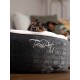 Ein kleiner Hund mit braunem und schwarzem Fell ruht seinen Kopf auf einem gemütlichen, grauen Hundebett mit dem gestickten Text 'TrendPet'.