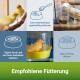 Zwei gelbe Kanarienvögel auf einem Ast mit Fütterungshinweisen und einem Futterbehälter im Hintergrund. Der Text lautet "Empfohlene Fütterung."