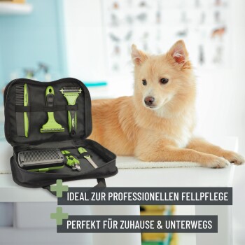 Ein flauschiger, hellfarbener Hund sitzt neben einem offenen Pflegekit mit grünen Werkzeugen und Text über die ideale professionelle Fellpflege.