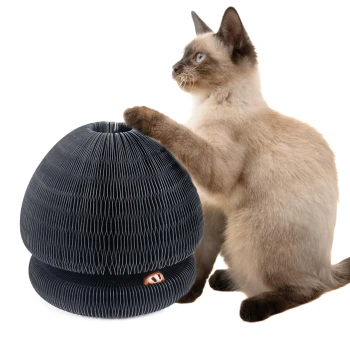 Eine verspielte getigerte Katze sitzt neben einem schwarzen, gestuften Katzenspielzeug mit zwei orangefarbenen Bällen, die oben herauslugen.