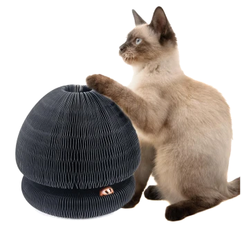 Eine verspielte getigerte Katze sitzt neben einem schwarzen, gestuften Katzenspielzeug mit zwei orangefarbenen Bällen, die oben herauslugen.