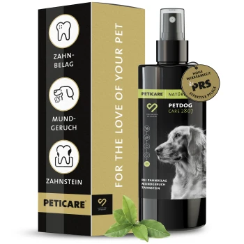 Dentalspray für Hunde Eine schwarze Sprühflasche mit der Aufschrift "PETDOG CARE 2807", die das Profil eines Hundes zeigt, mit einem grünen Logo und einem Siegel mit der Aufschrift "HOHE WIRKSAMKEIT."