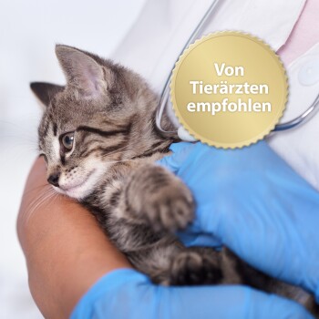 Ein Tierarzt in blauen Handschuhen hält ein kleines getigertes Kätzchen, mit einem goldenen Abzeichen, das 'Von Tierärzten empfohlen' liest.