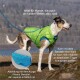 Loft Hundejacke lila/ grau S
