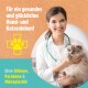 Etikett für das Green Hero Floh- und Zecken-Shampoo, mit einer Katze und einem Hund mit Schaum, das natürliche Inhaltsstoffe und Anwendungshinweise hervorhebt.