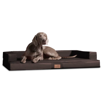 Ein grauer Weimaraner-Hund, der auf einem großen, dunkelbraunen Haustierbett mit erhöhten Rändern liegt, mit einem kleinen Markenschild.