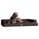 Ein grauer Weimaraner-Hund, der auf einem großen, dunkelbraunen Haustierbett mit erhöhten Rändern liegt, mit einem kleinen Markenschild.